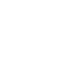 raise your voice labs logo white copy.png